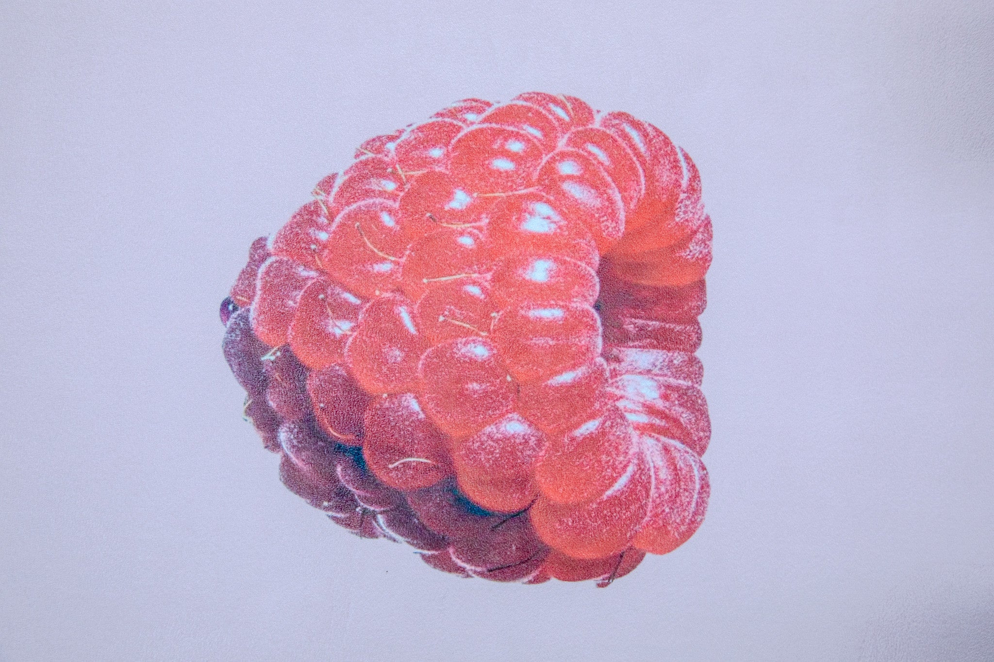 REFORMERMAT -  Berry Cute